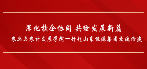 深化校企协同 共绘发展新篇—williamhill官方网站一行赴山东能源集团交流洽淡